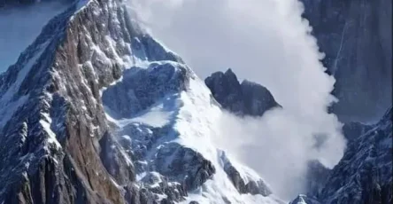 Voyez vous une chevre ou un aigle.jpg
