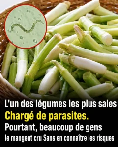 Ciboule et oignon nouveau ce legume adore que vous mangez peut etre sans le laver correctement.jpg