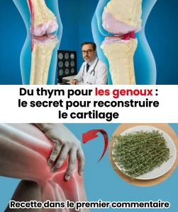 Le thym pour la regeneration du cartilage du genou.jpg