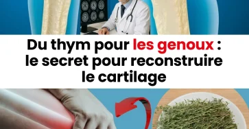 Le thym pour la regeneration du cartilage du genou.jpg